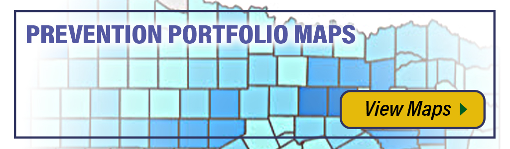 Portfolio Maps